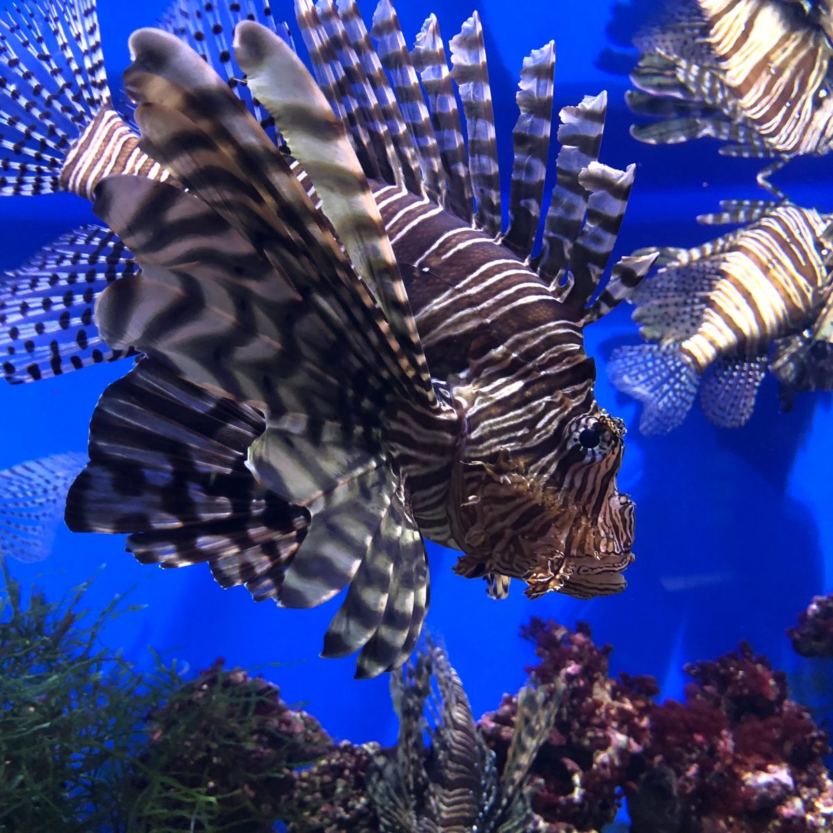 Η απόλυτη κρουαζιέρα-56 Μνημεία Παγκόσμιας Κληρονομιάς της UNESCO σε 6 ηπείρους