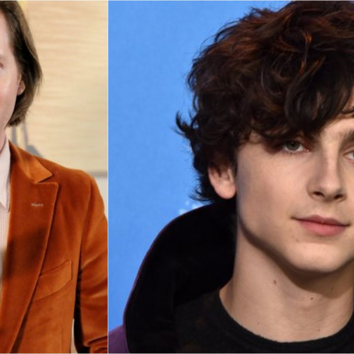 O Timothée Chalamet και όχι μόνο πρωταγωνιστεί στη νέα ταινία του Wes Anderson