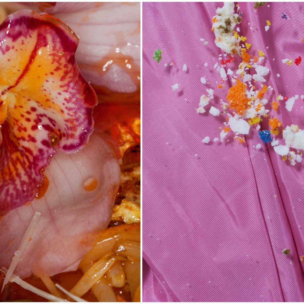 O υπέροχος και περίεργος κόσμος του φαγητού της εκκεντρικής Maisie Cousins