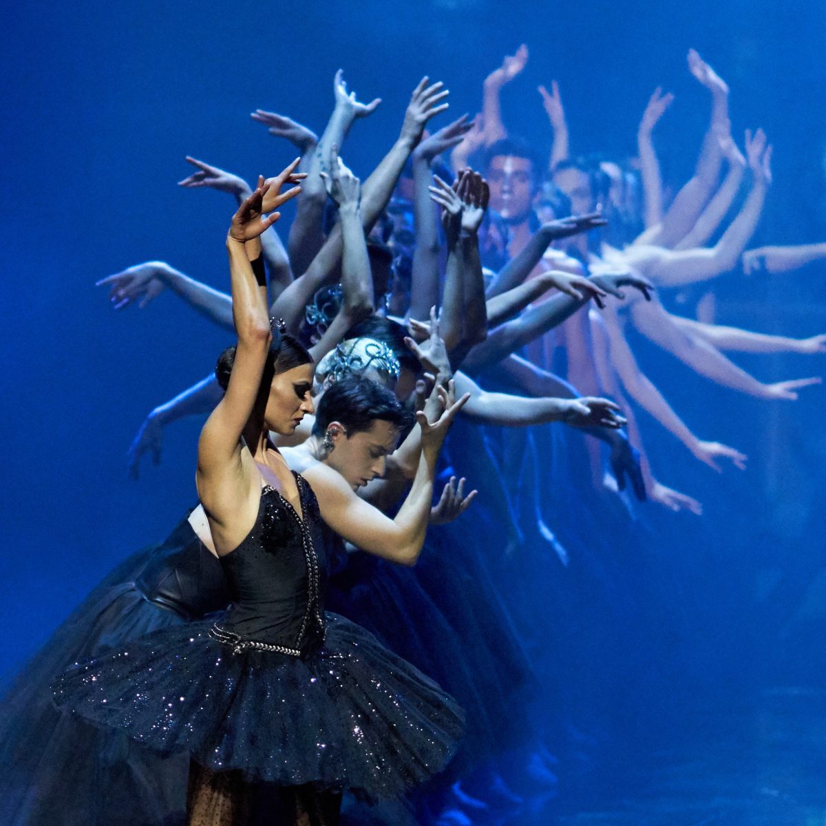 Η Λίμνη των Κύκνων (ξανα)έρχεται στο Ίδρυμα Σταύρος Νιάρχος