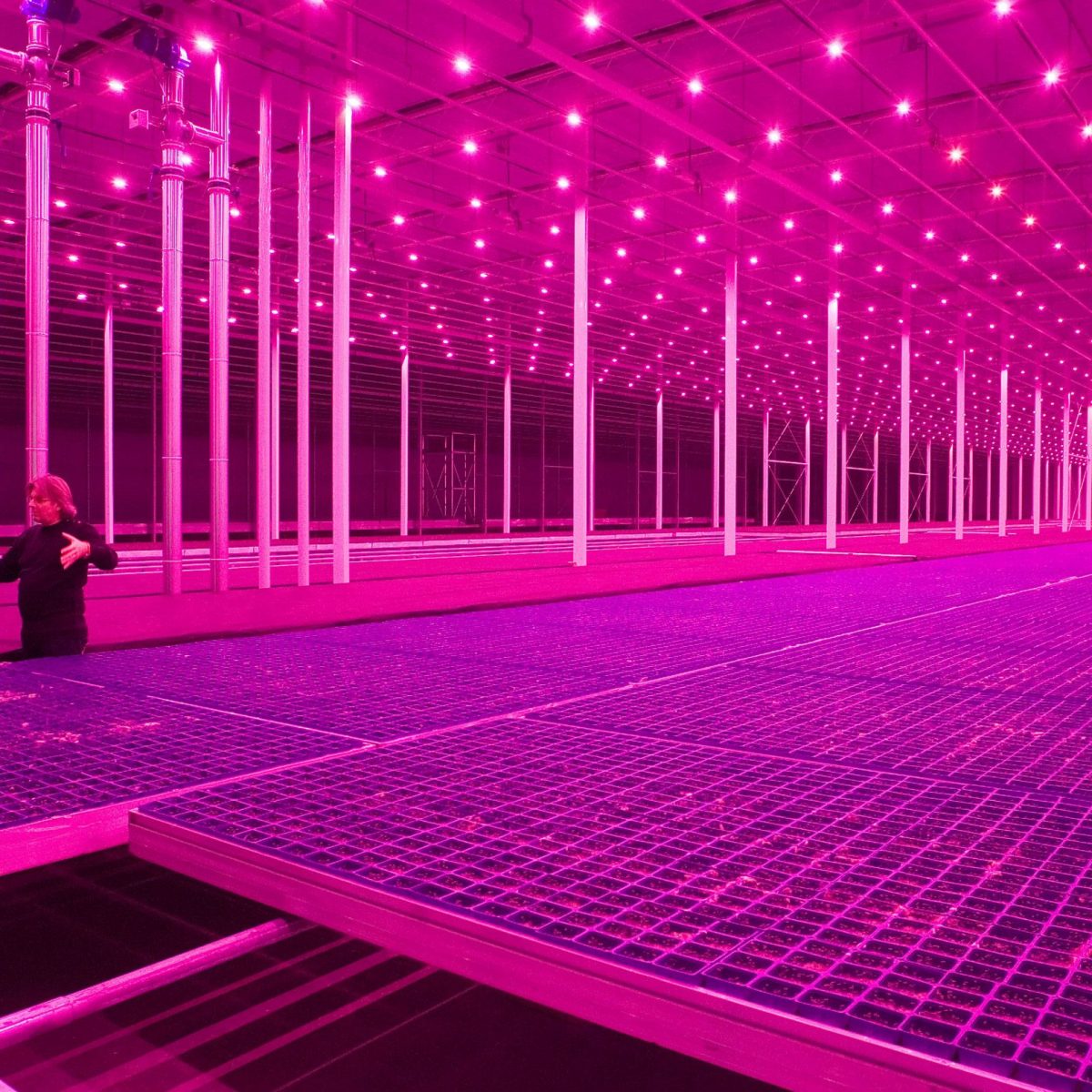 Πώς γίνεται μια έκθεση τέχνης να μην έχει καθόλου τέχνη;