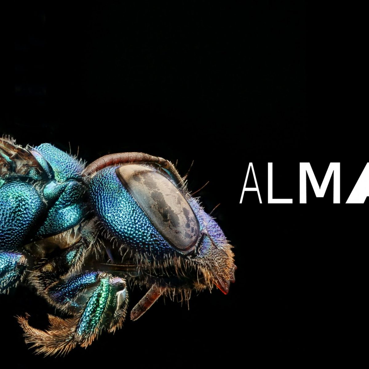 Υποδεχόμαστε το 2021 με την 7η Μπιενάλε της Αθήνας: Eclipse