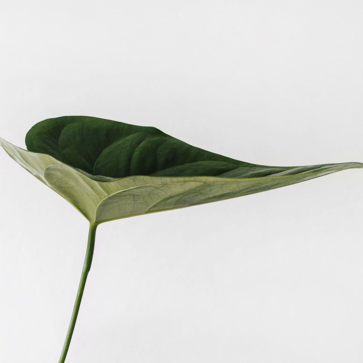 Τι θα συμβεί στη βιώσιμη μόδα το 2021;