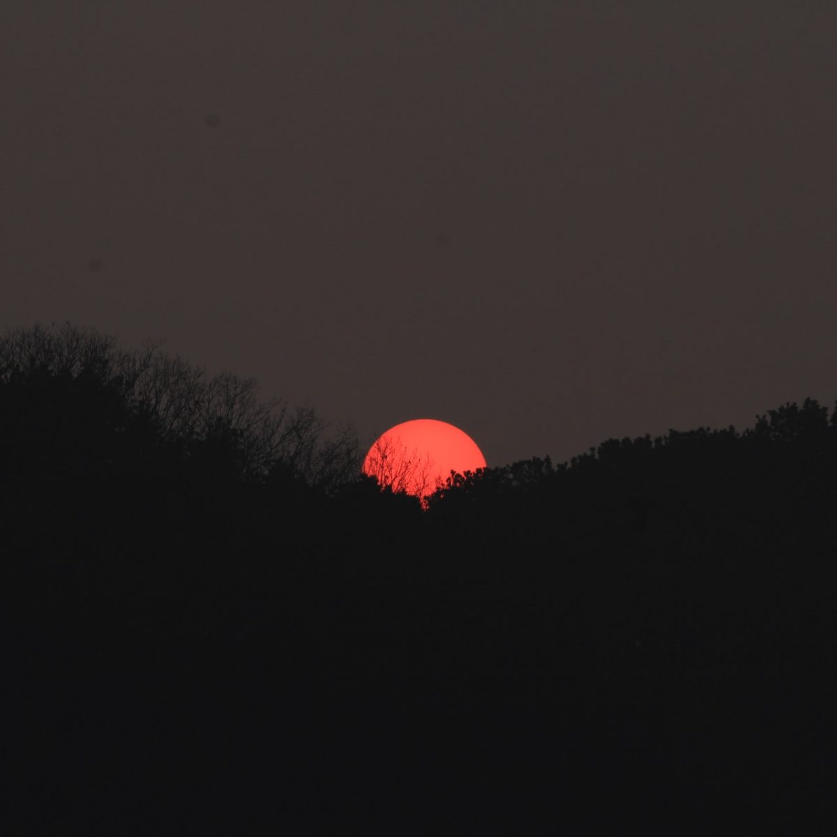 Ο απόλυτος οδηγός για τις αποψινές φωτογραφίες του pink moon
