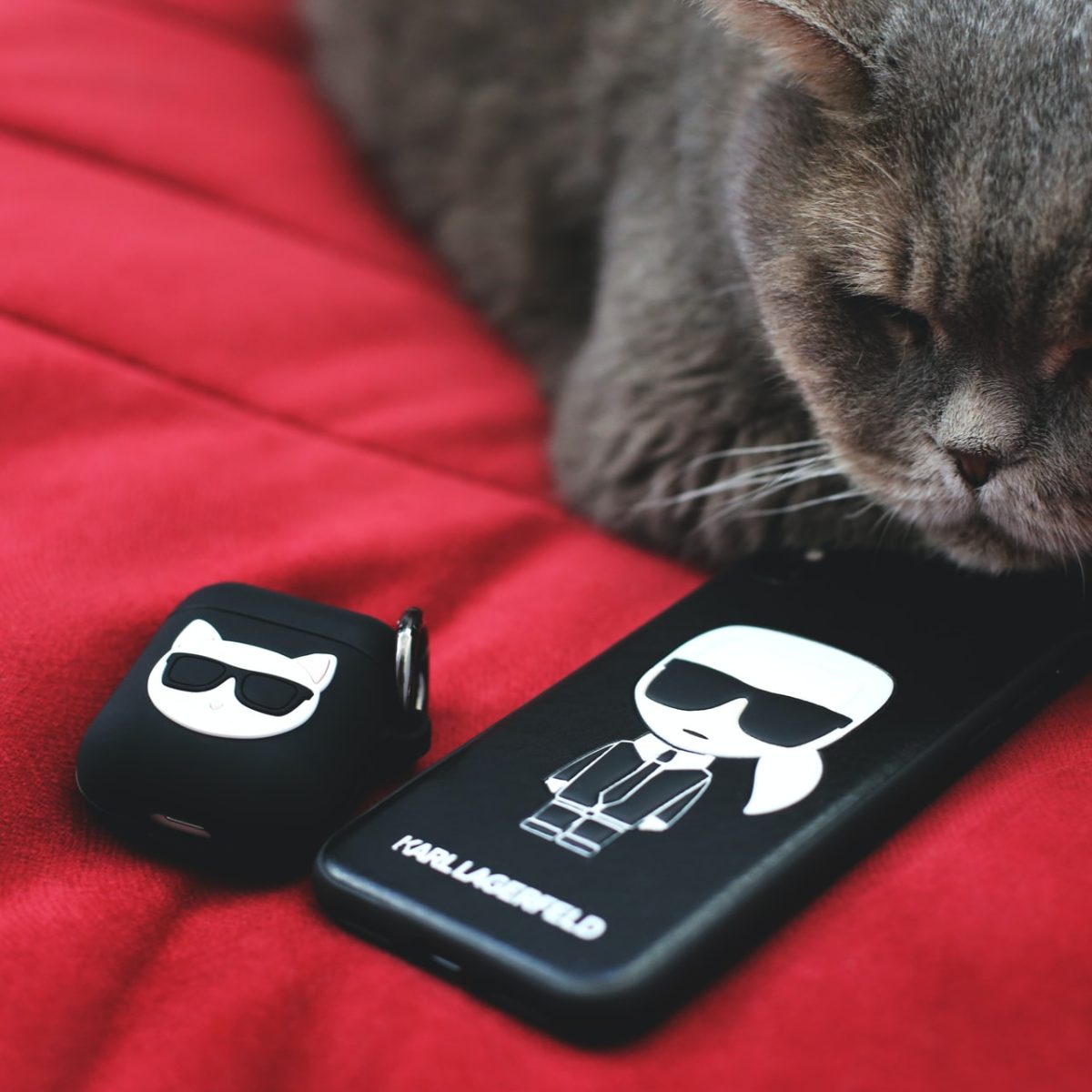 Σε δημοπρασία η αμύθητη περιουσία του Lagerfeld