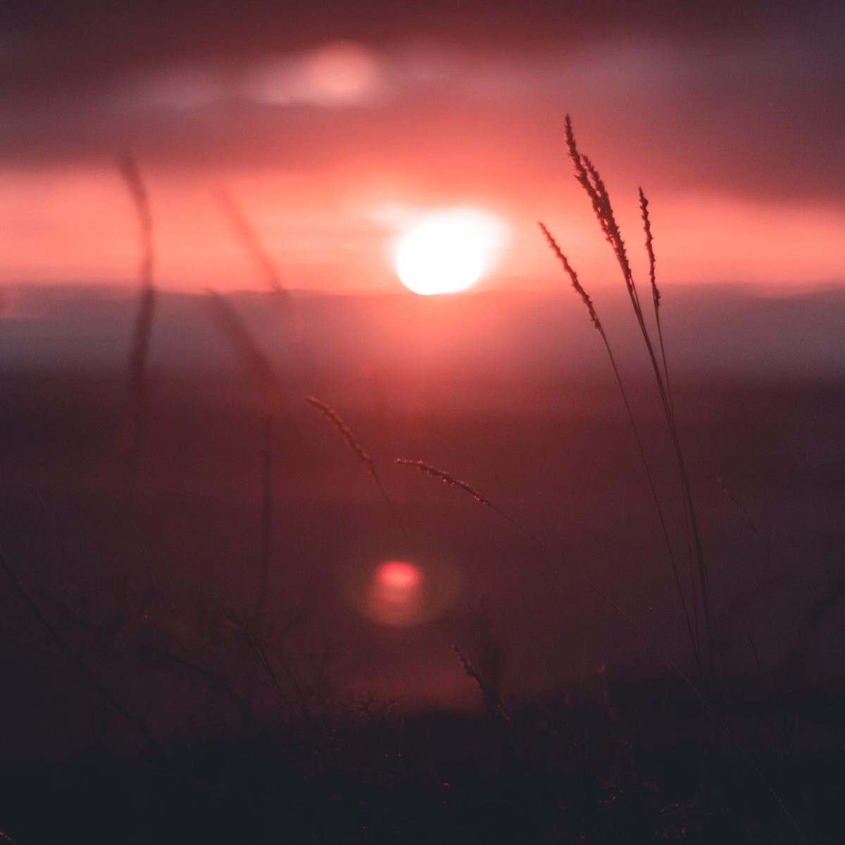 Τα δελφινάκια του Αμβρακικού