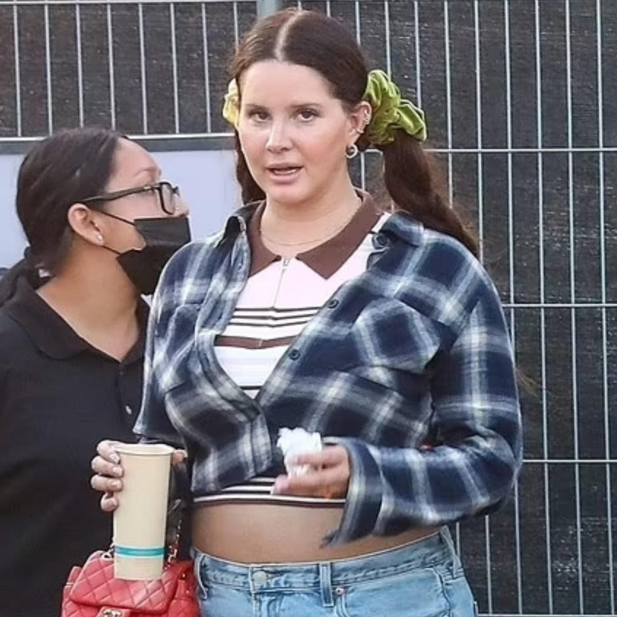 Τρόλαραν το σώμα της Λάνα Ντελ Ρέι σε δημόσια εμφάνιση της δείχνοντας λιποφοβία