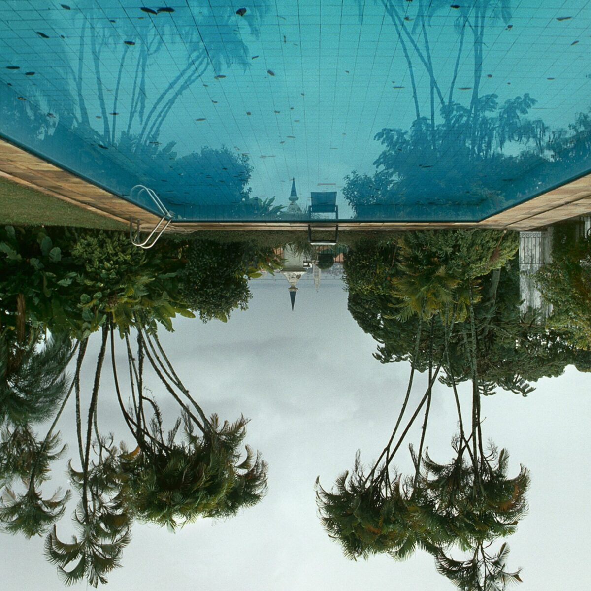 O “κήπος” του Μανώλη Μπαμπούση σε προσκαλεί στην Καλών Τεχνών για να τον περιδιαβείς