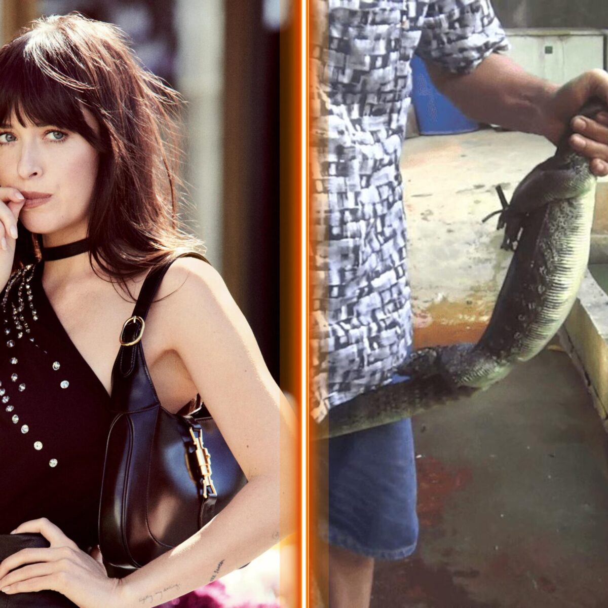 Οίκος Gucci: Σκάνδαλο με τον βασανισμό ζώων και την εμπλοκή της Ντακότα Τζόνσον