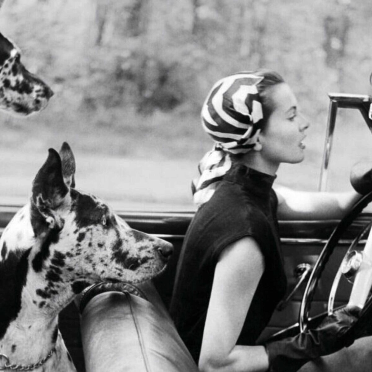 Aυτό το βιβλίο είναι αφορμή να γνωρίσεις τον φωτογράφο μόδας Lionel Kazan (1930-2016)