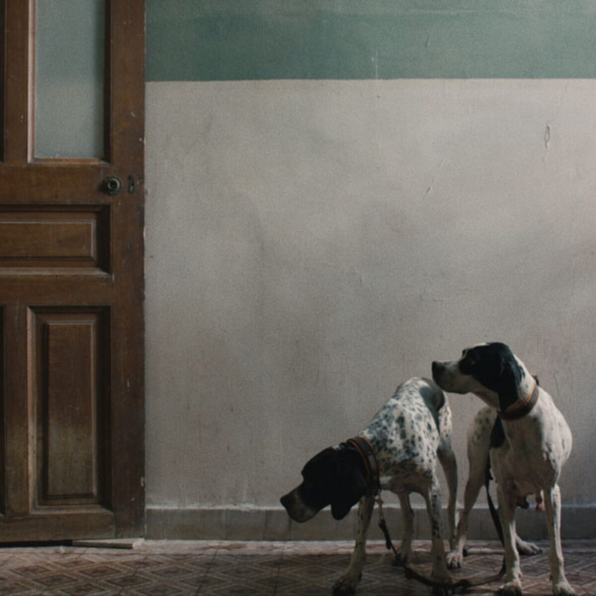 Αυτό το Σάββατο, η καλλιτέχνης Janis Rafa θα αναλάβει να σε ξεναγήσει στην έκθεσή της στο opbo studio!