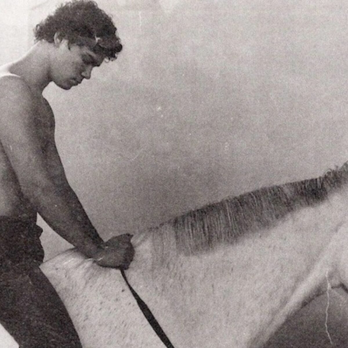 The above images belong to a larger volume of printed material that the artist has been collecting since the beginning of the 1990s.