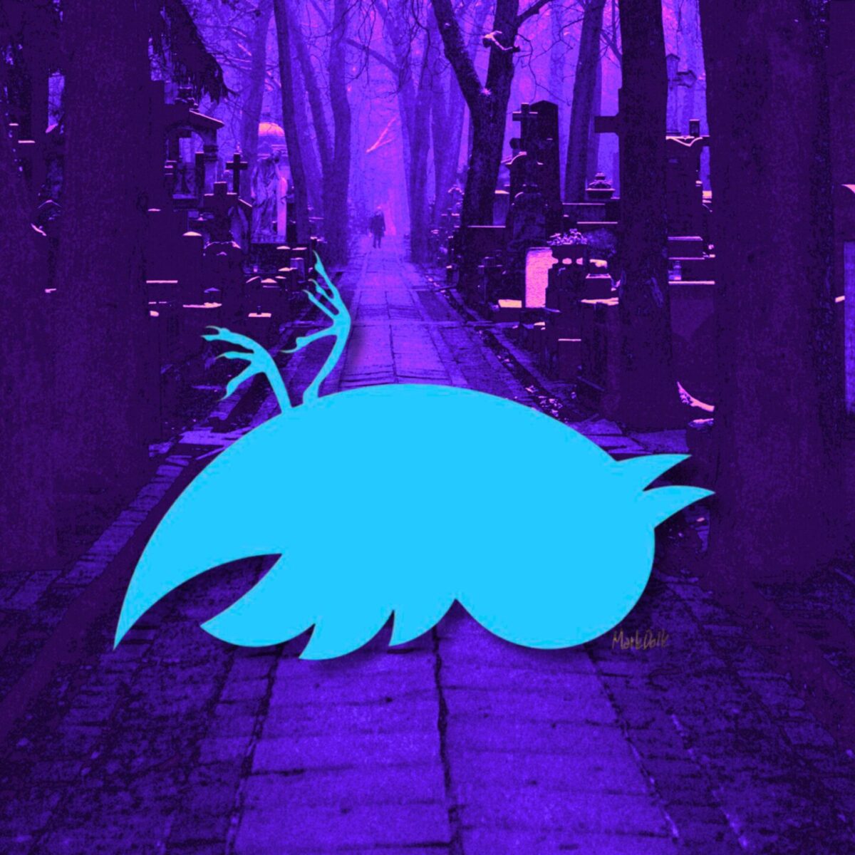 Tο πουλί του Twitter “δεν μένει πια εδώ”: To άχαρο σύμβολο που πήρε τη θέση του