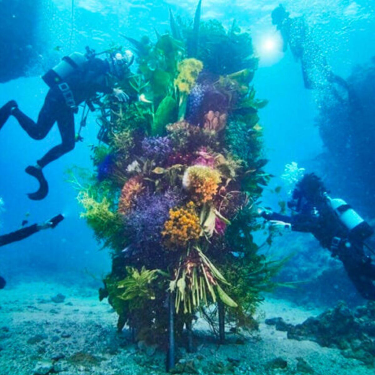 O Azuma Makoto βύθισε τα συναρπαστικά του λουλούδια μέσα στη θάλασσα