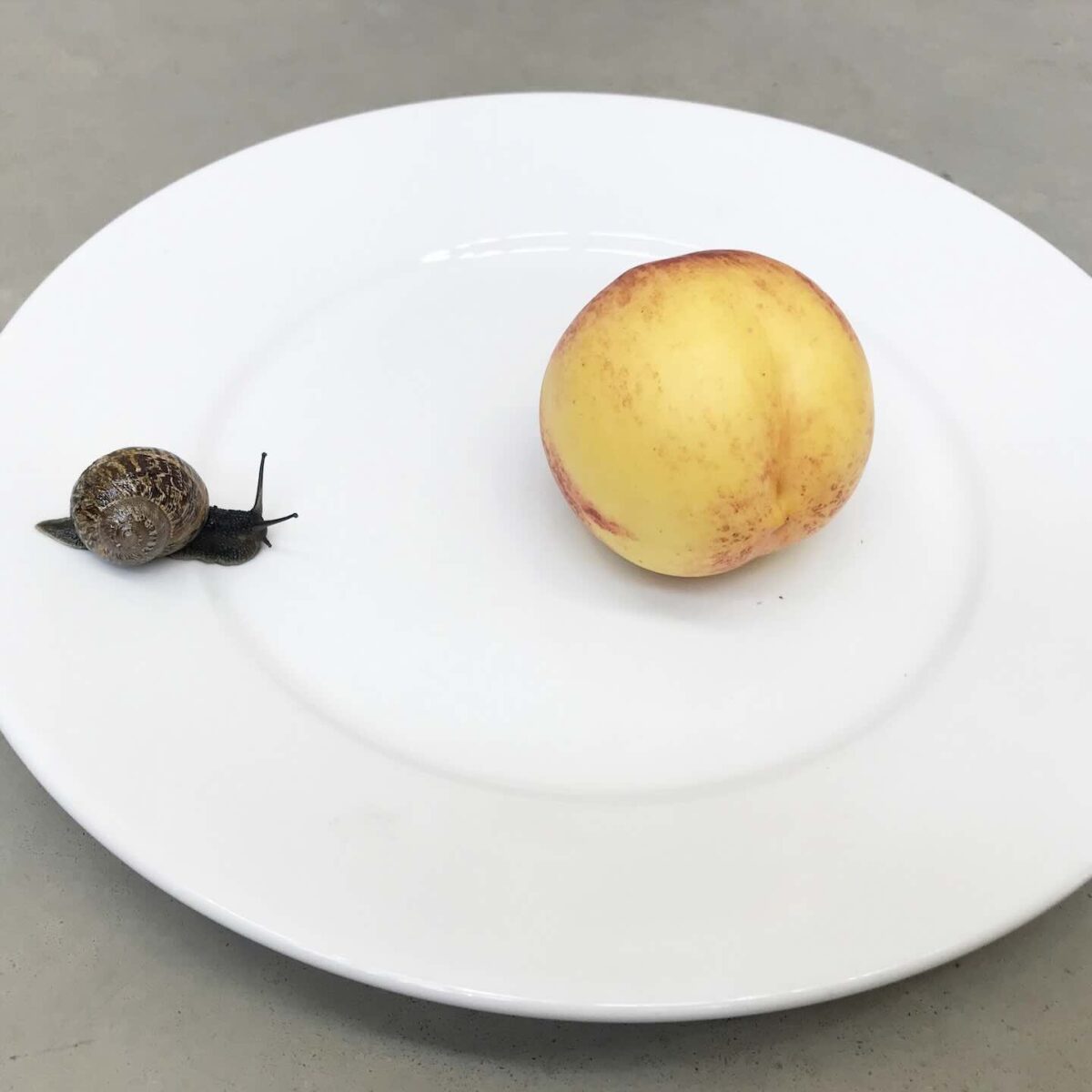 Από τον Iggy Pop στον Πάπα Φραγκίσκο – Ο φακός του Juergen Teller στο Onassis Ready