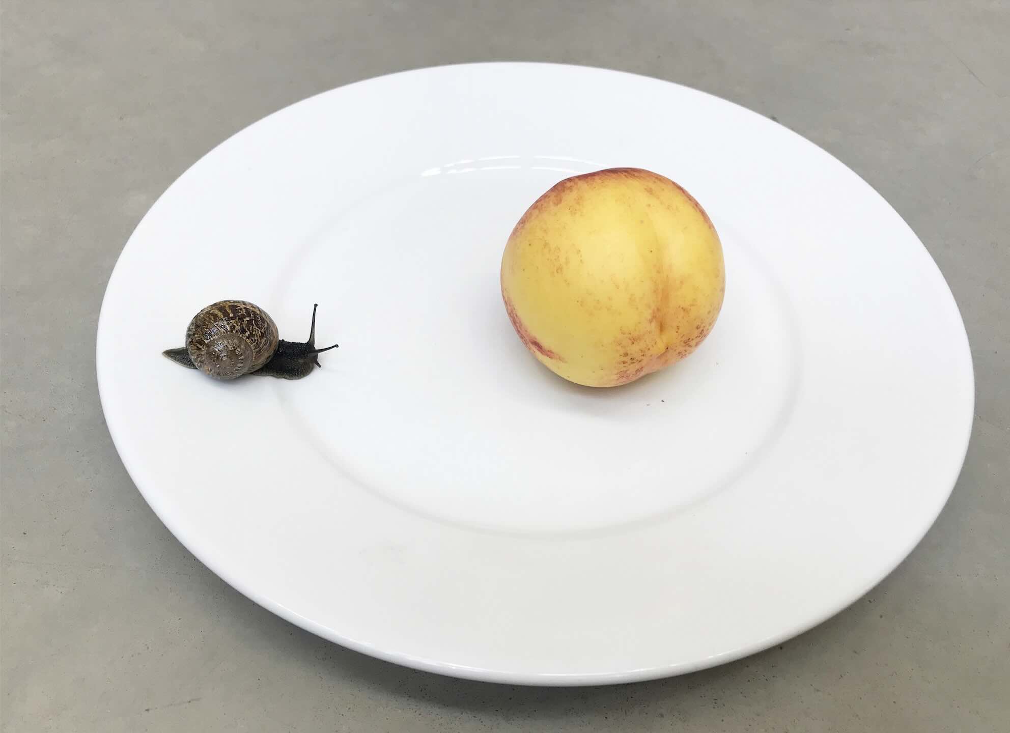 Από τον Iggy Pop στον Πάπα Φραγκίσκο – Ο φακός του Juergen Teller στο Onassis Ready