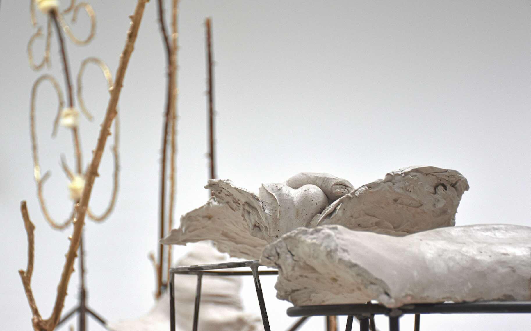 An Evening Botanist: Μια έκθεση ανάμεσα στο χειρουργικό και το ερωτικό